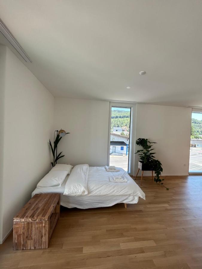 The R Apartment Passwang, Klima, Neu, Balkon, Parking Balsthal Extérieur photo