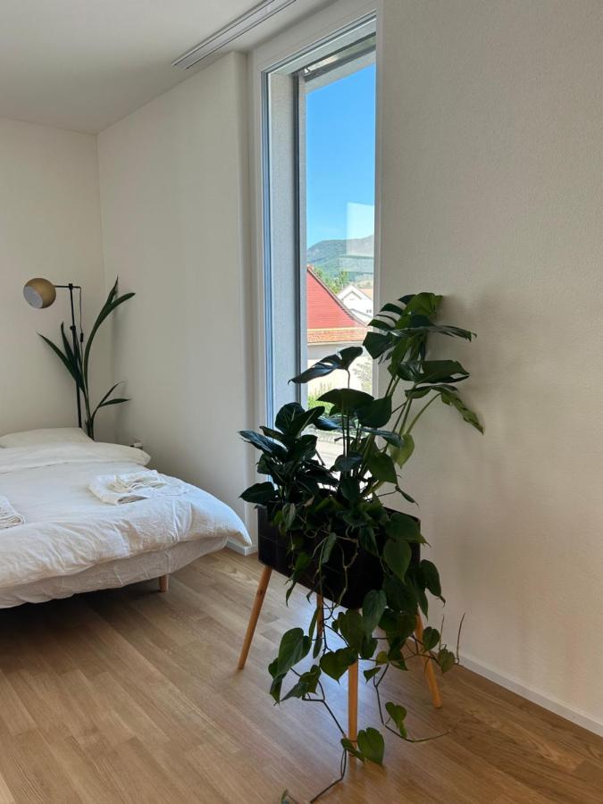 The R Apartment Passwang, Klima, Neu, Balkon, Parking Balsthal Extérieur photo